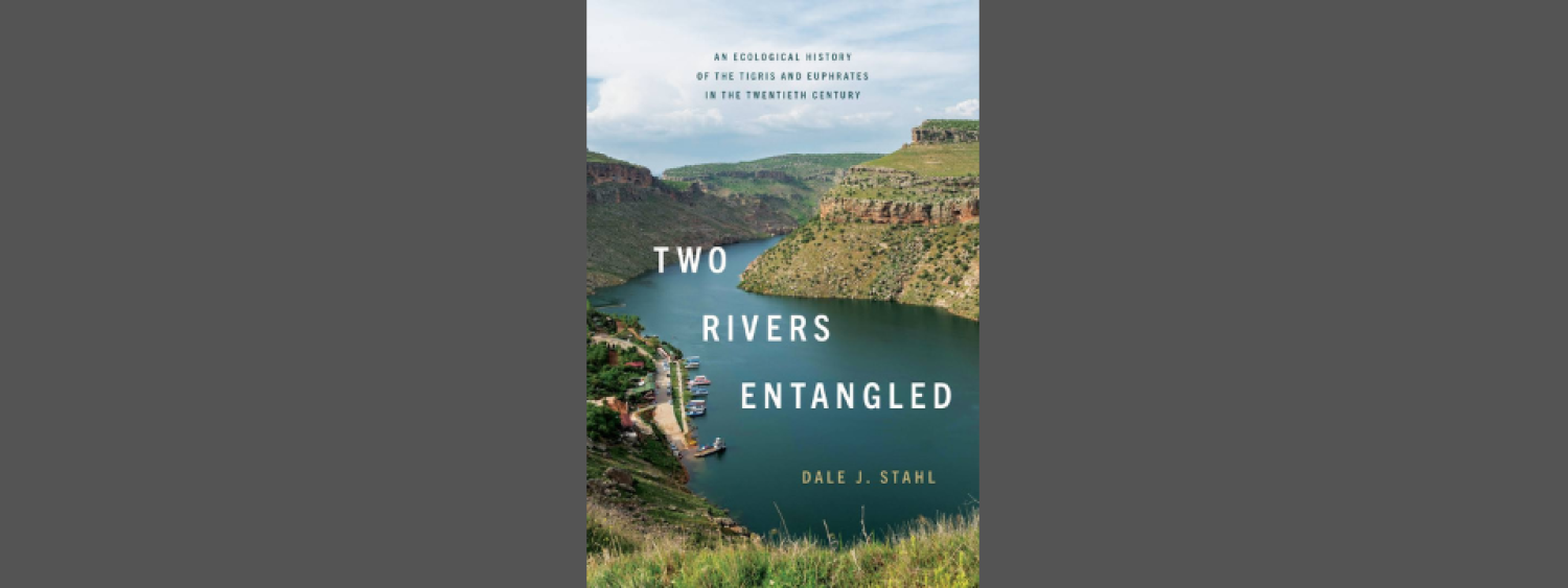 Two Rivers Entangled By Dale Stahl