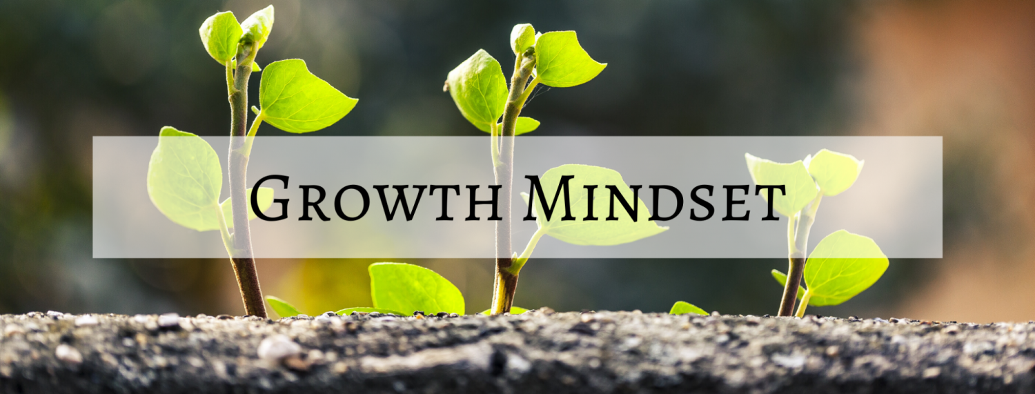Growth Mindset Header. Photo shows small plants growing in soil