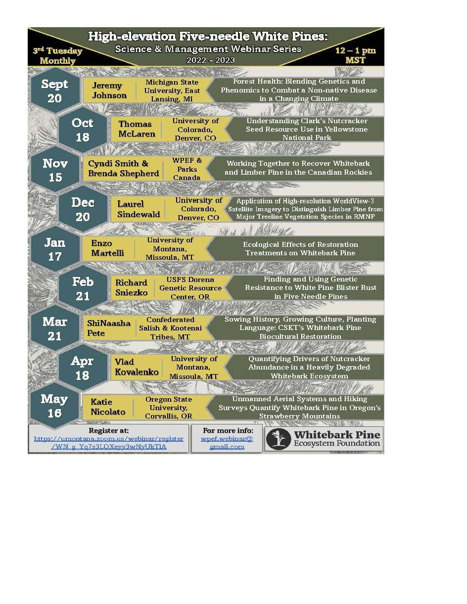 High Elevation Five Needle White Pines Webinar Series