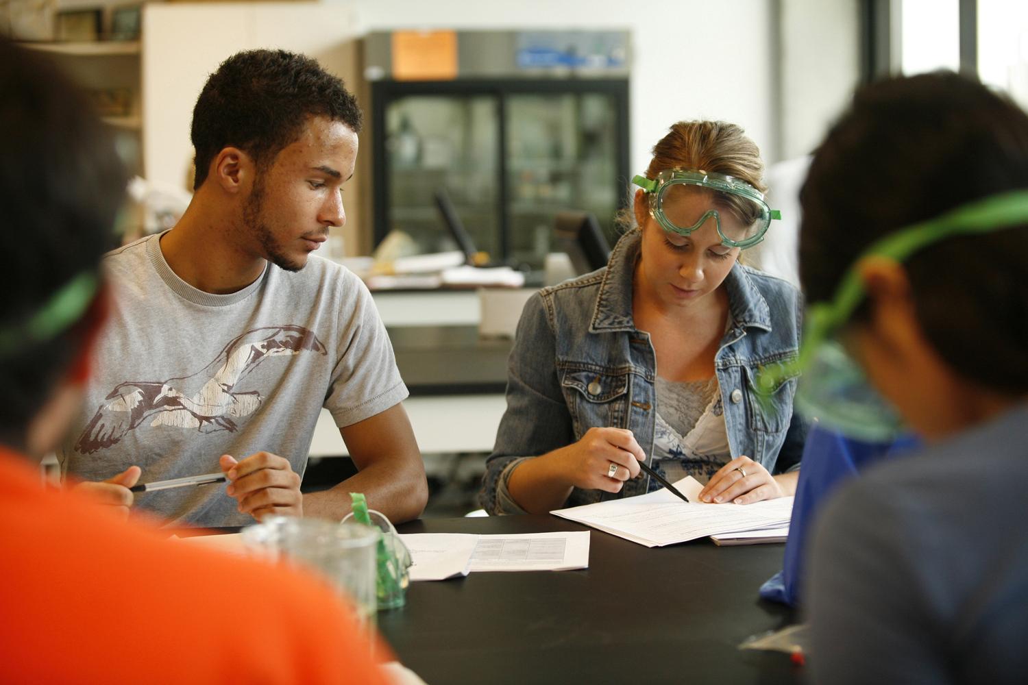 Students studying