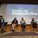 Dr. Diana Tomback and event speakers photo