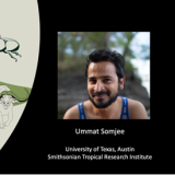 Dr. Ummat Somjee photo