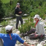 Dr. Diana Tomback working on whitebark pine trees with students