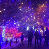 Zoo lights in the trees with people walking around