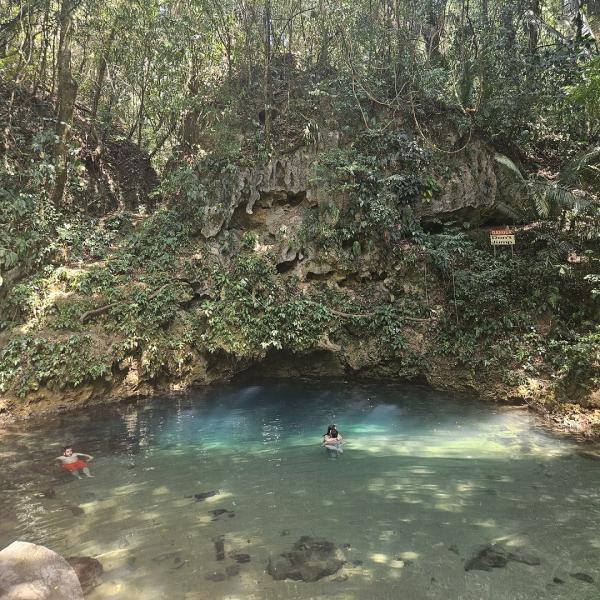 Students swimming in a watering hole