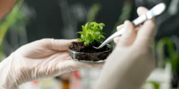 Research Opportunities
