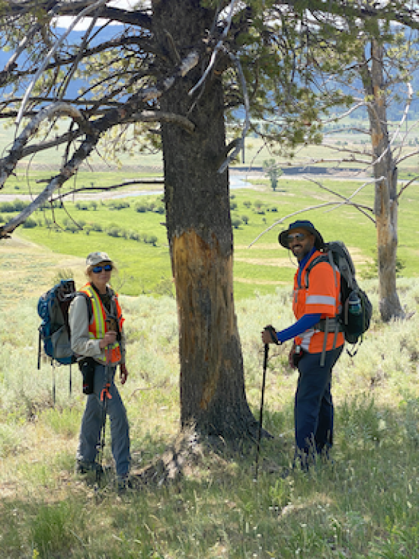 Ali and Dr Tomback hiking a hill and stopped under a tree