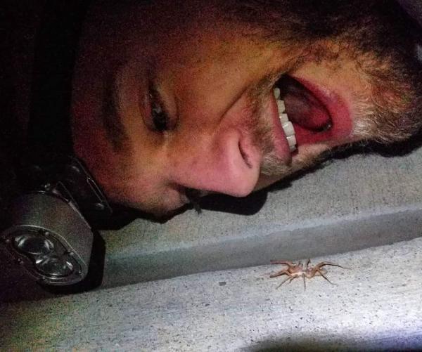 Photo of Ryan Jones wearing a headlamp and laying his head near the ground just above a camel spider.