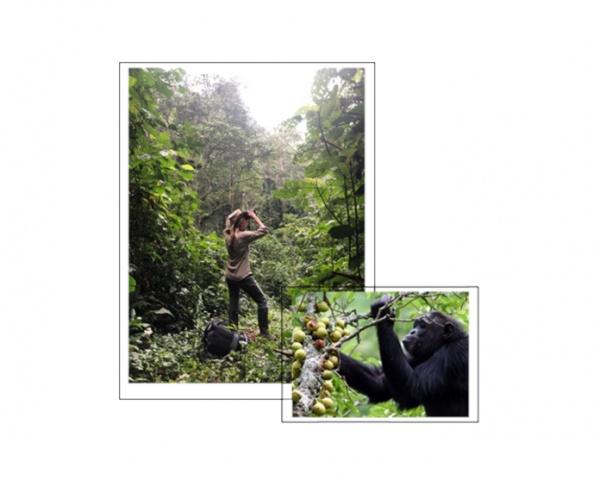 Dr. Joanna Lambert and Gorilla photo