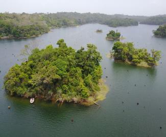 Photo of an Island