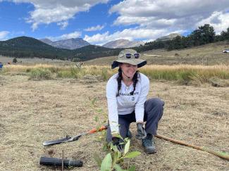 Isobel planting new trees in the mountains