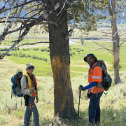 Ali and Dr Tomback hiking and stopped under a tree