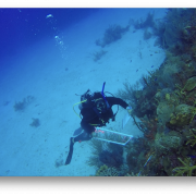 Dr. Anya Brown diving
