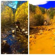 Acid mine drainage effects on a stream 