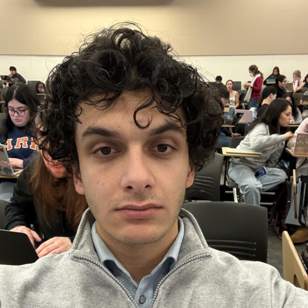Parsa Ghorani