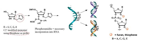 Photoactive RNA