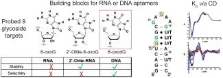 TOC for ACS chem biol publications