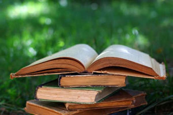 Viajes al libro