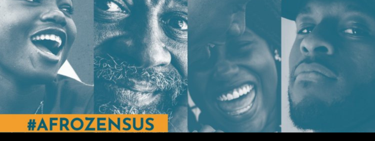 afrozensus2020