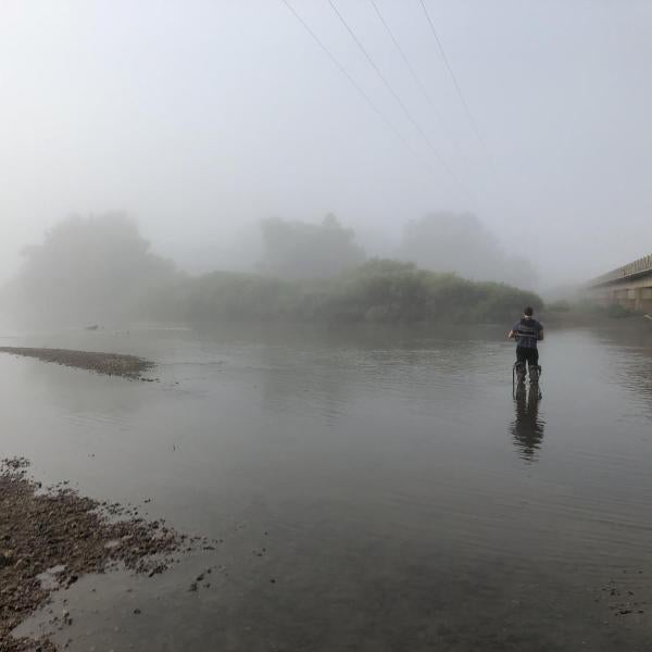 Researcher standing in the water with fog
