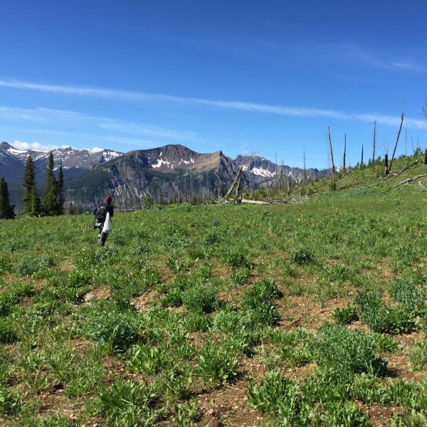 Researchers out in the field