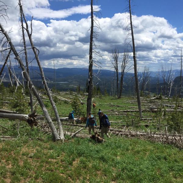 Researchers out in the field at Yellowstone