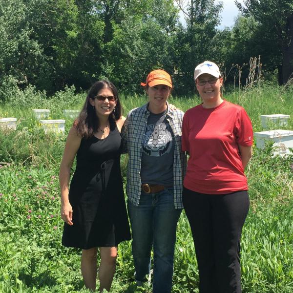 Group photo of researchers in front of beehives