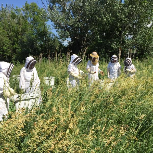 Researchers in beekeeper gear