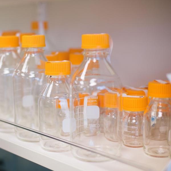 Bottles in a laboratory