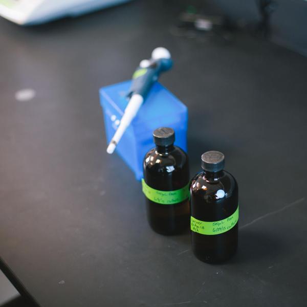 Lab cultures in bottles