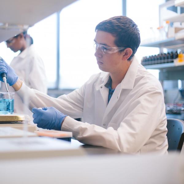 Students working in the lab