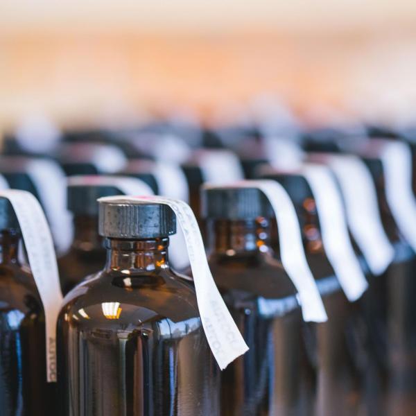 Rows of lab cultures in bottles