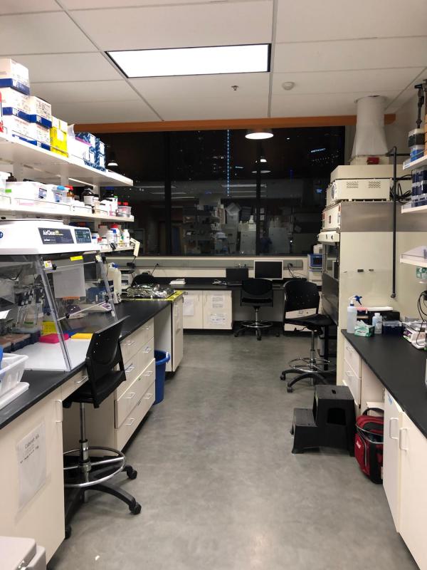 Empty lab