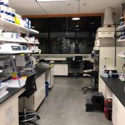 Empty lab