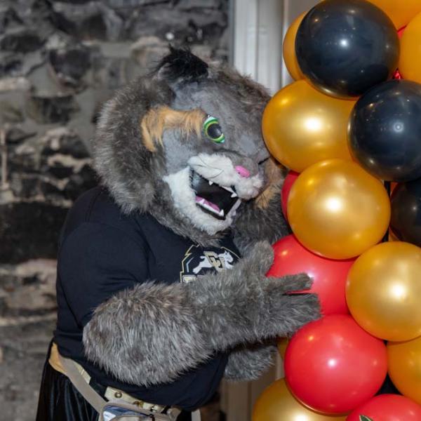 Milo hugs balloons.