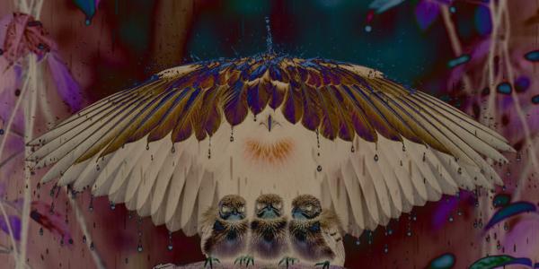 AI-generated image of an adult bird and three baby birds