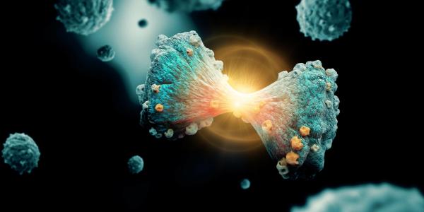 Cancer cell dividing with light behind it to illustrate Dr. Lee's idea of nanoprobes bringing light to cancerous tumors.