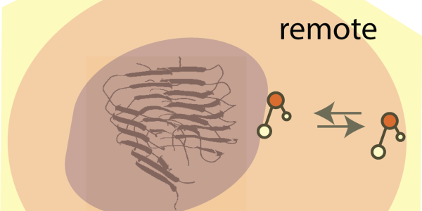 Picture of the project that works to show that role of water molecules in the toxic plaques, focusing on hydration shells around both native and chemically modified amyloid-beta species.