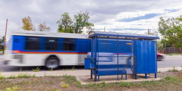 A bus zooms past a bus stop