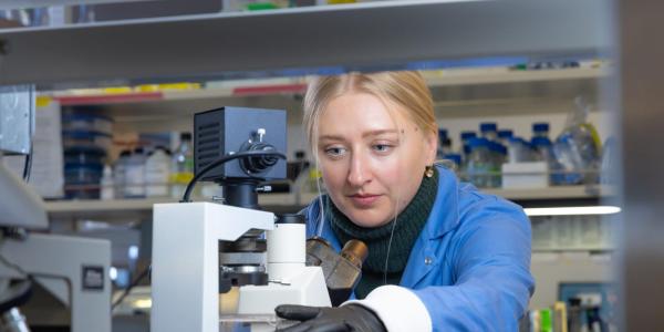 Katie Schultz looking through a microscope