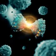Cancer cell dividing with light behind it to illustrate Dr. Lee's idea of nanoprobes bringing light to cancerous tumors.