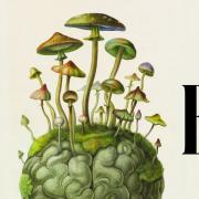 Illustration by Armando Veve showing psychedelics