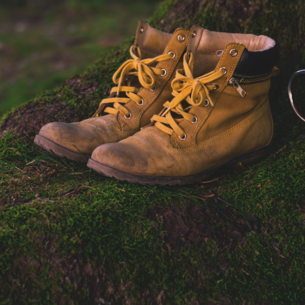 Tan hiking boots with yellow laces on mossy tree trunk alongside black coffee mug