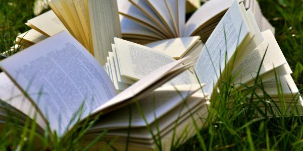 open books laying in grass