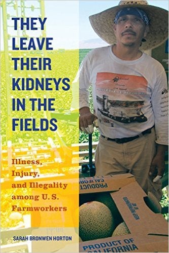 Book cover for "They Leave Their Kidneys in the Fields"
