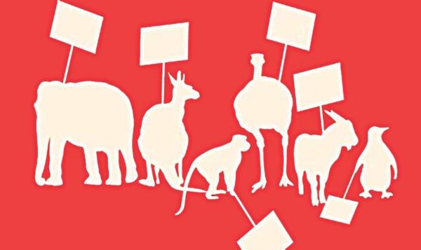 Animal illustrations  hold blank protest signs