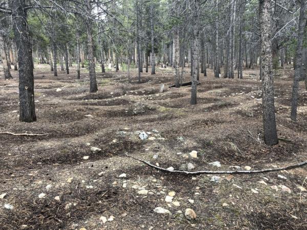 Unmarked Irish graves