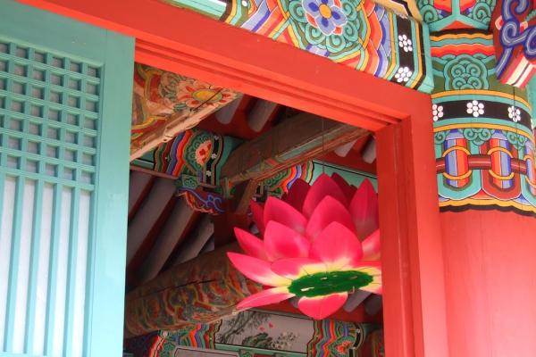 close up photo of bright pink Korean traditional lantern, seen through a colorful traditional green and red door