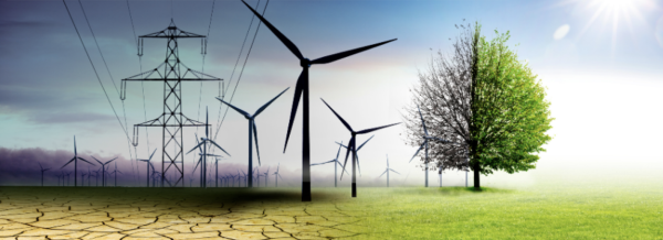 Power lines, windmills and a green tree, half burnt