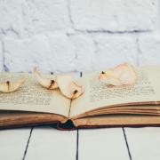 Open Book With Flower Petals